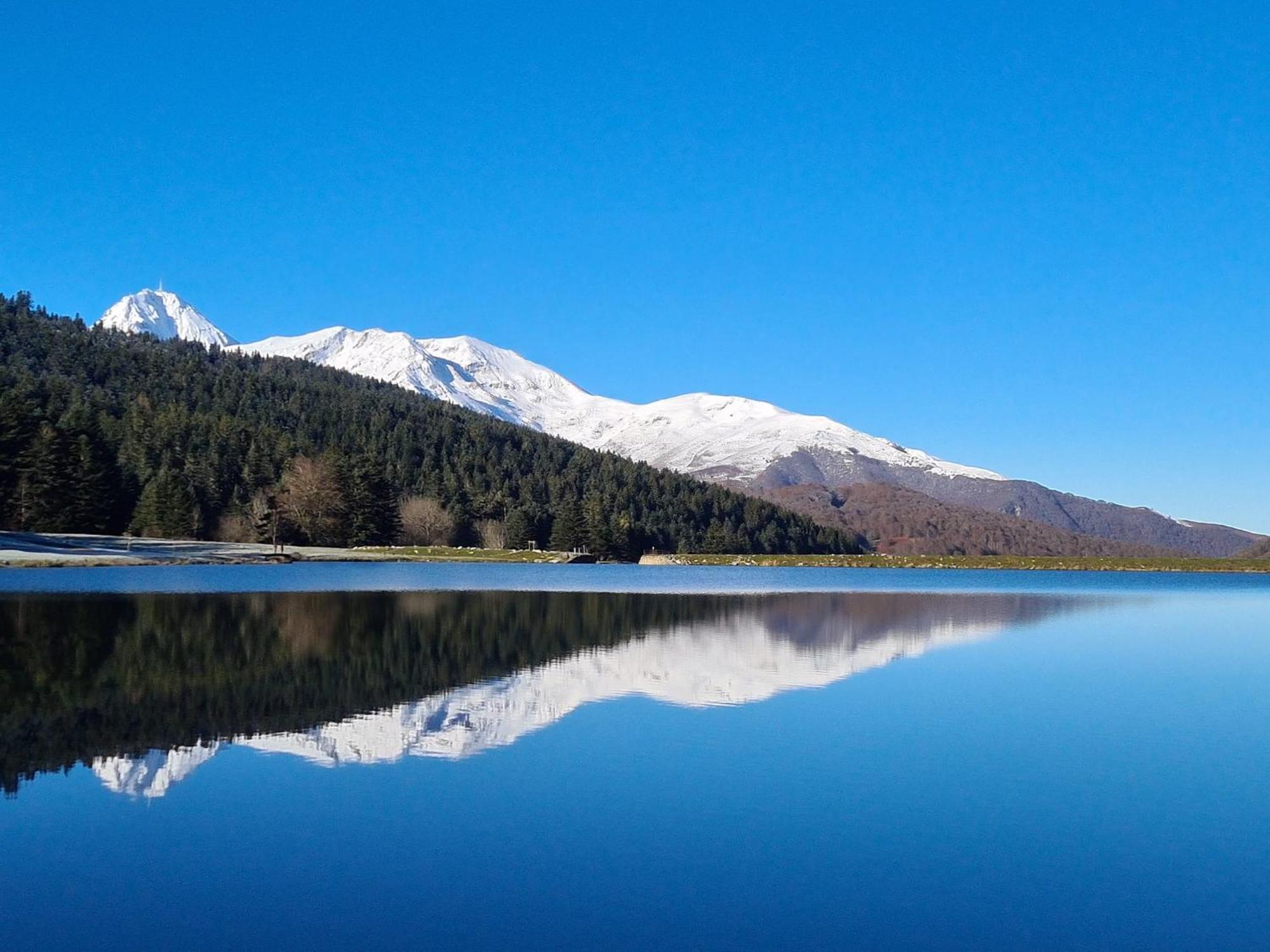 La Roseraie, Loft 3 Etoiles, Calme Et Ensoleille Au Pied Des Pyrenees Bagnères-de-Bigorre Eksteriør billede
