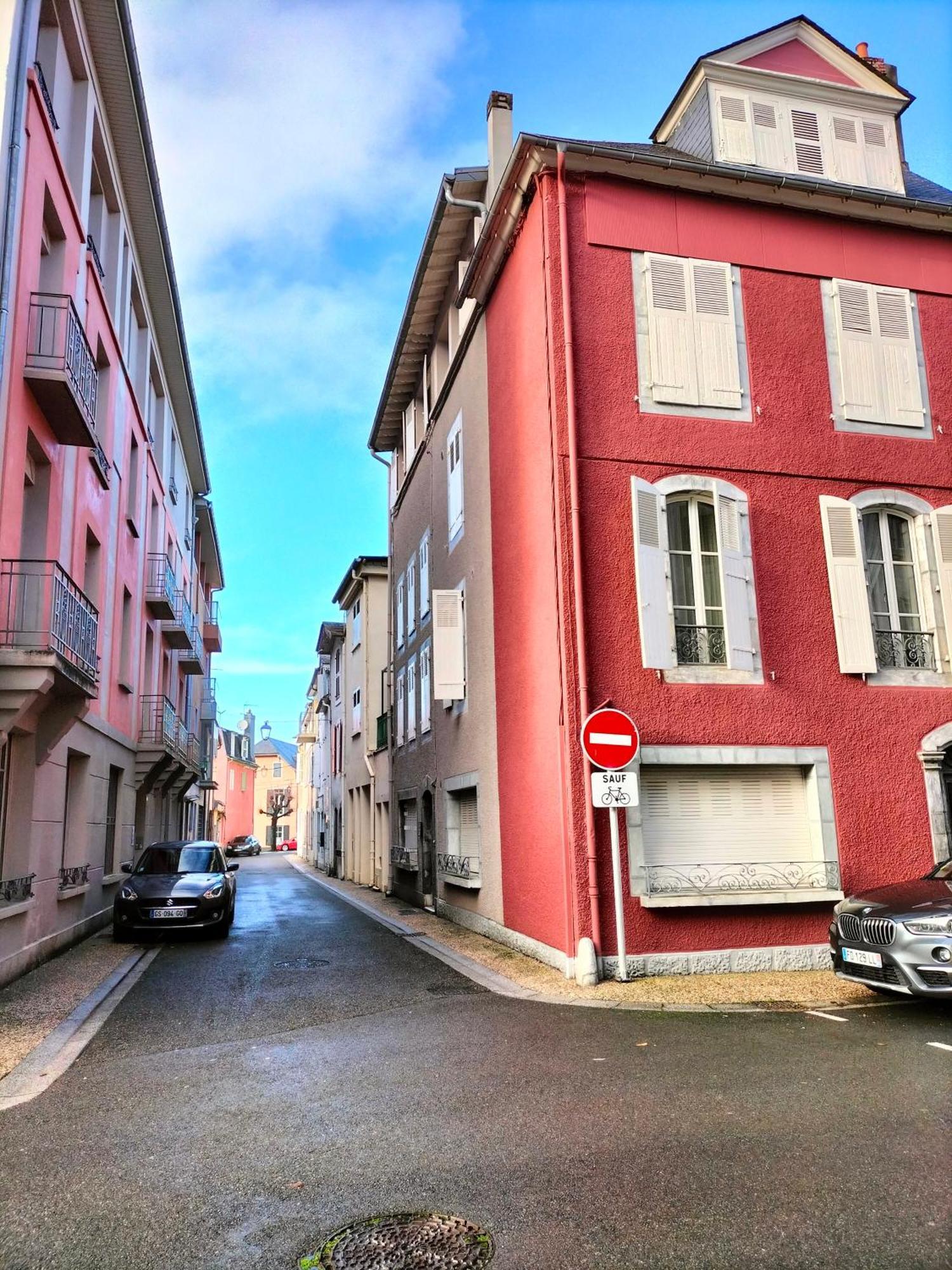 La Roseraie, Loft 3 Etoiles, Calme Et Ensoleille Au Pied Des Pyrenees Bagnères-de-Bigorre Eksteriør billede